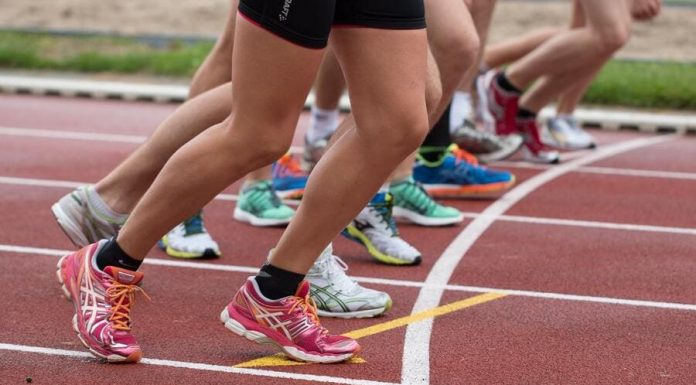 Ставим на спорт в БК Лига Ставок